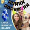 Set 5 baloane confetti auriu si banner Happy Birthday negru - imagine 6