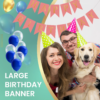 Set 5 baloane confetti auriu si banner Happy Birthday roz - imagine 6